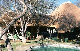 Kwa-Mbili lodge - Safari experience with a difference!!  Northern Province, South Africa - close to Mpumalanga lowveld, Klaserie, Timbavati, Sabi Sand and the Kruger National Park. Wildlife safari travel destination in the bushveld. Tours and accommodation - game reserve in the wilderness.